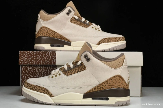 Retro Jordan  CT8532-102 CT8532-102 Palomino  3 0401